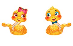 不问三七二十一，时间当做过渡期代表什么生肖，词语释义落实