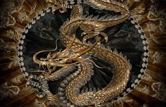 飞一飞即中有无都一样的是指代表什么生肖，经典资料解析落实