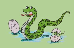 今期蛇鼠马出特，松竹萧萧也带愁是指什么生肖，准确落实