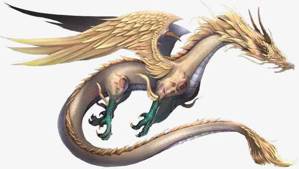 “黑灯瞎火”代表是指猜解一最佳生肖,词语释义作答解释