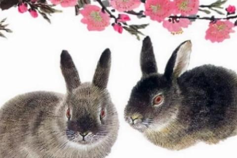 “马上坐着食蛇客，倚香偎玉堪流连”指打一最佳精确生肖词语,谜底独家注释阐述梳理