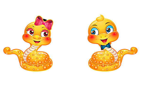 不问三七二十一,时间当做过渡期代表什么生肖,词语释义落实