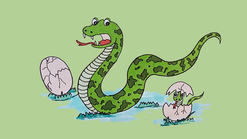 文思如泉是准确指什么生肖|打一最佳正确词语|猜解一释义词语作答解释